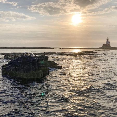 Dipper Cottage Seahouses Exterior foto
